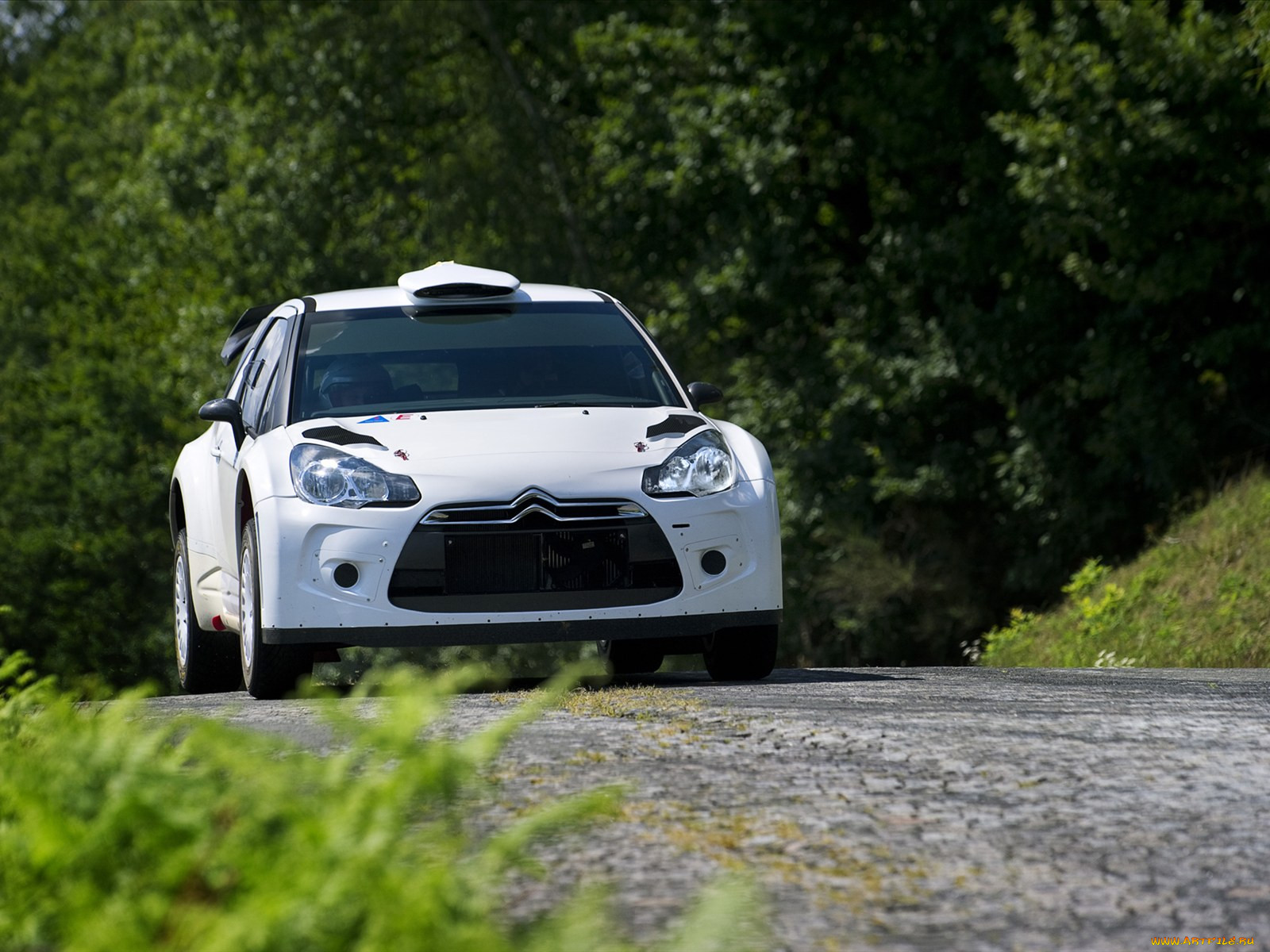 , citroen